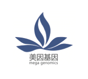 美因基因